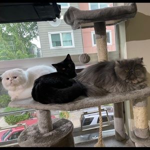 Meet your Posher, Quynh